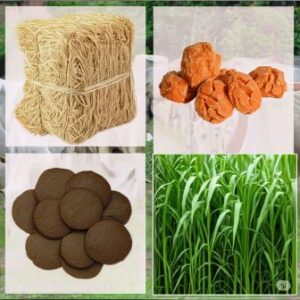 Donate to gaushala online, donation to gaushala 80g