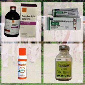 Donate to gaushala online