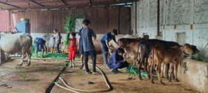 Donate to gaushala online