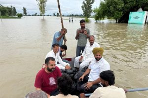 WhatsApp Image 2025-09-05 at 21.23.32