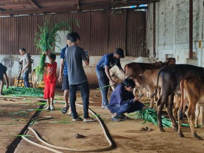 gau_seva_team gau_seva_team