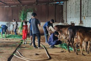 gau_seva_team